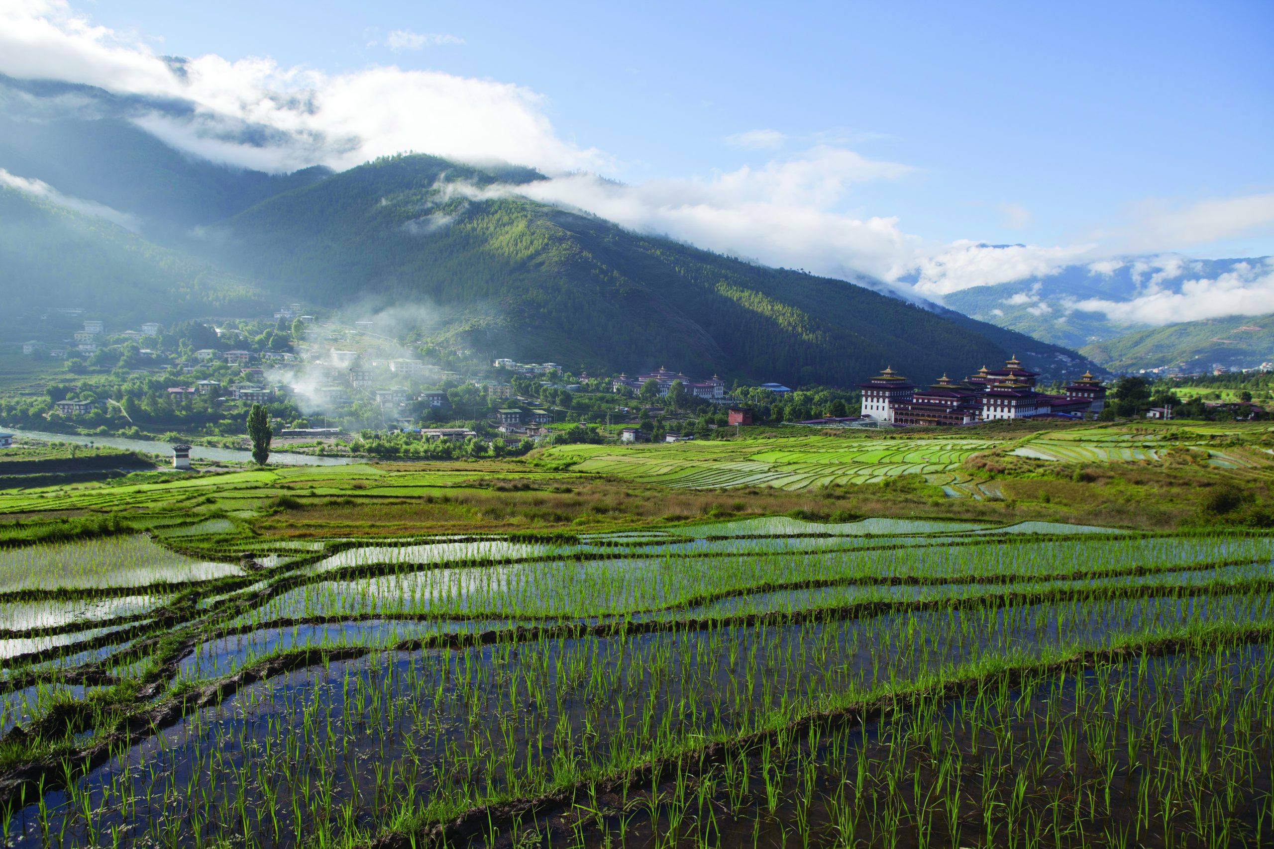 Tashichho Dzong, Thimphu, the capital of Bhutan with the paddy filed in the foreground.